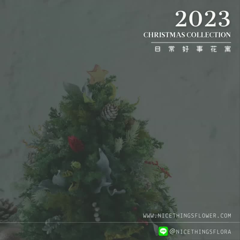 2023 圣诞版扩香瓶120ml  圣诞礼物 交换礼物 圣诞节 - 干燥花/捧花 - 植物．花 