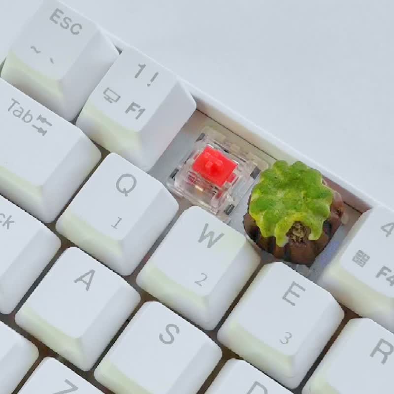 キーキャップ 抹茶 カヌレ CherryMX メカニカルキーボード ゲーミングキーボード - 电脑配件 - 粘土 绿色